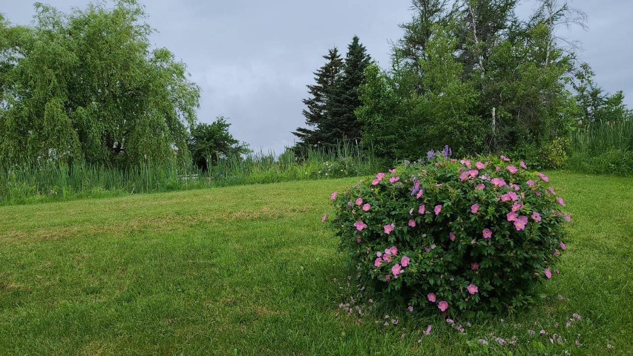 Bouctouche Bay Inn Экстерьер фото